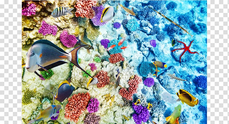 Coral Reef Life Coral reef fish Ocean, coral reef transparent background PNG clipart