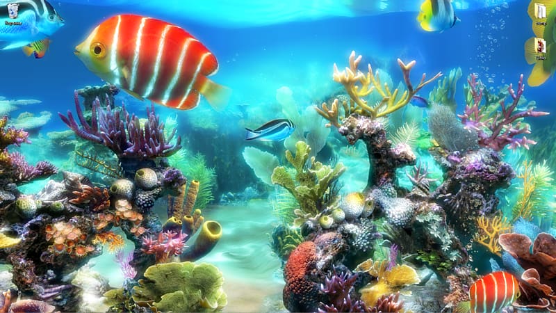 Aquariums Coral reef Akwarystyka morska, Aquarium transparent background PNG clipart