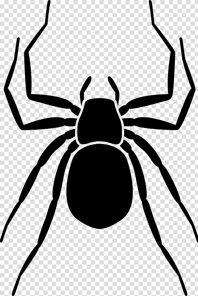 Homo sapiens Earth Spider , earth transparent background PNG clipart