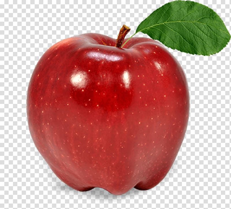 Apple Fruit, apple transparent background PNG clipart