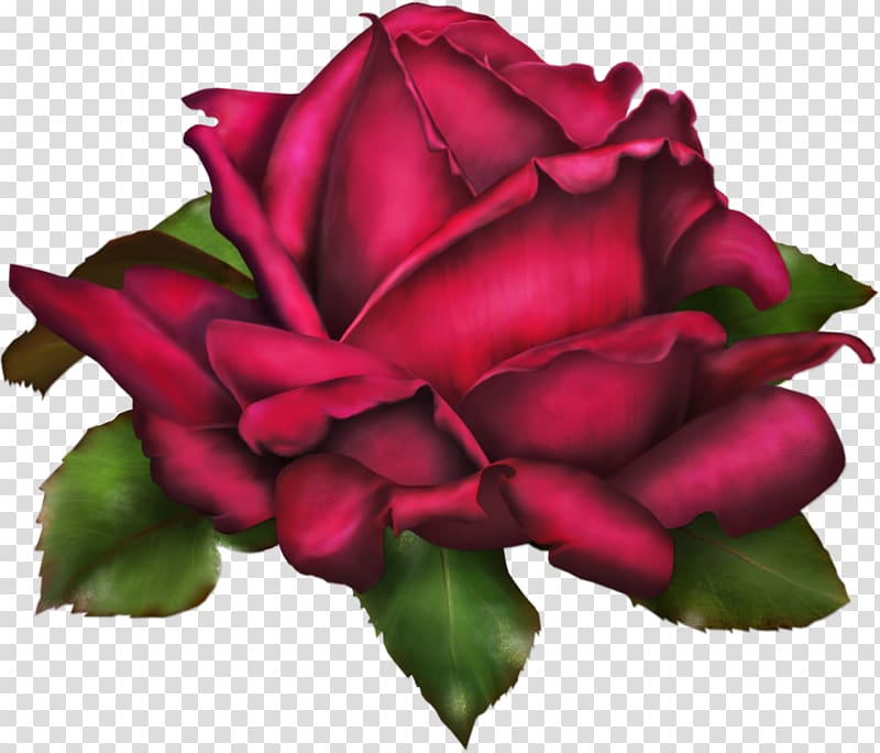 red rose , Friendship Falling in love Mother, Rose Art transparent background PNG clipart