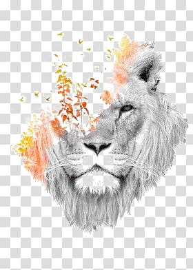 sketch lion transparent background PNG clipart