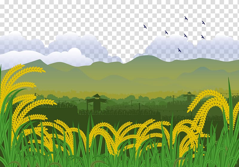 Euclidean Illustration, A scarecrow in a paddy field transparent background PNG clipart