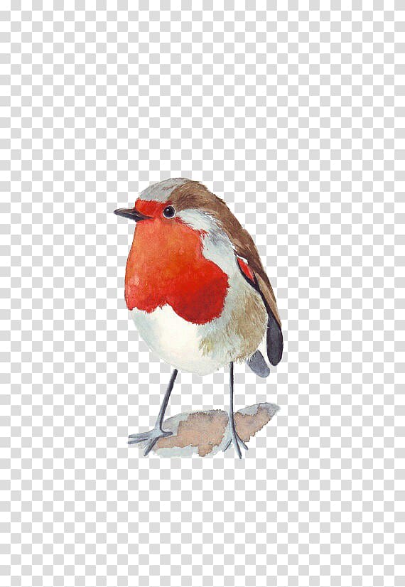Bird Watercolor painting Architecture in Watercolor Wren, Red Sparrow transparent background PNG clipart