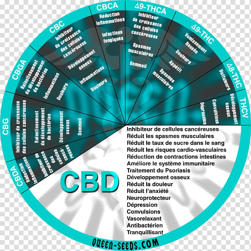 Cannabidiol Psychoactive drug Tetrahydrocannabinol Therapy Cancer, cannabidiol transparent background PNG clipart