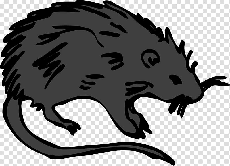 Brown rat Mouse Laboratory rat Rodent , mouse transparent background PNG clipart