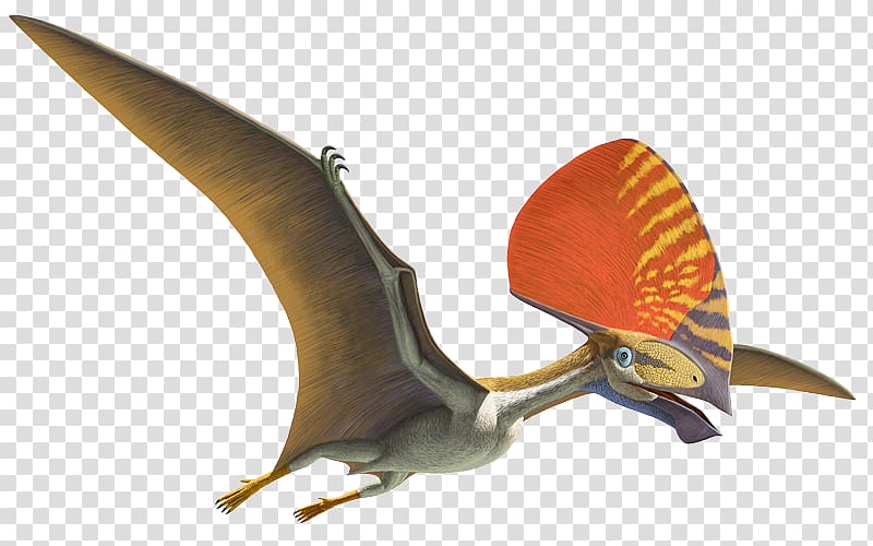 Natural History Museum of Los Angeles County Pterosaurs Flight Anhanguera Darwinopterus, dinosaur transparent background PNG clipart