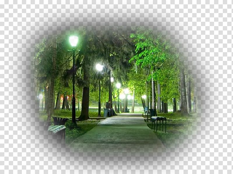 Simferopol Zelenodolsk Dnipro Urban park, park transparent background PNG clipart