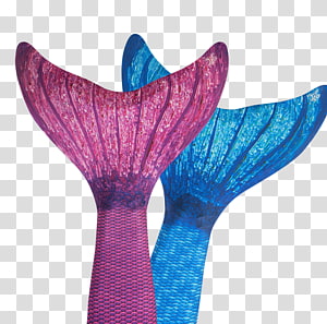 Mermaid Fin Fun Monofin Tail Watercolor Mermaid Transparent Background Png Clipart Hiclipart - mermaid fin ears roblox