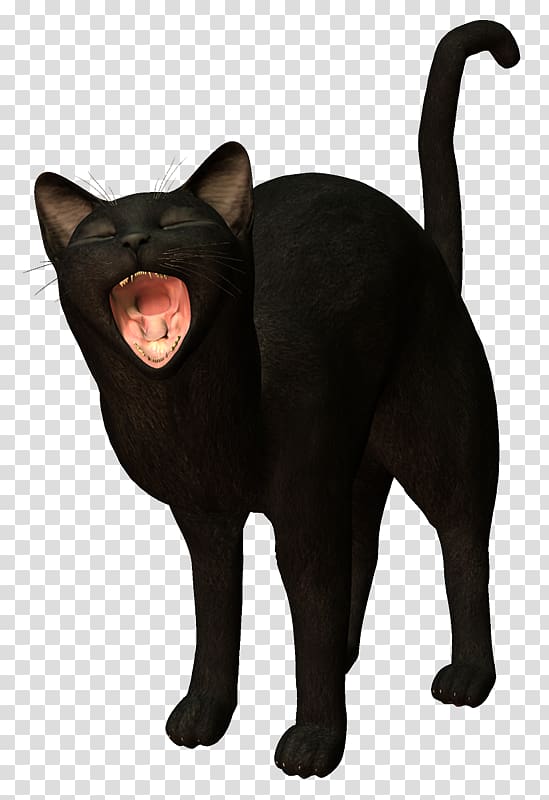 Black cat Bombay cat Havana Brown Malayan cat Domestic short-haired cat, Gatos transparent background PNG clipart