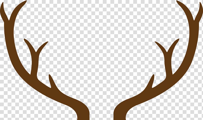 Paper Greeting & Note Cards Father\'s Day Card , deer antlers transparent background PNG clipart