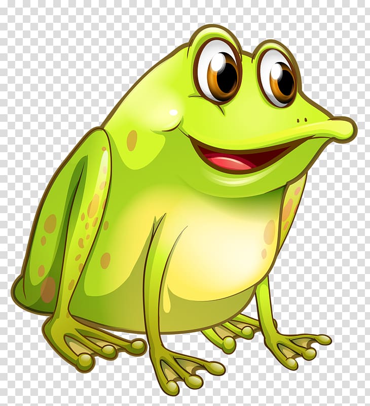 Frog , frog transparent background PNG clipart