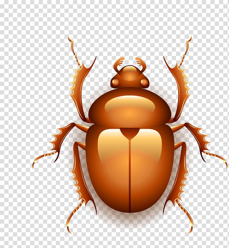 The Deeds of the Disturber Icon, Egypt insect transparent background PNG clipart