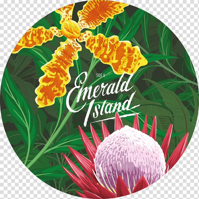 Emerald Island Extended play Phonograph record The Shocking Miss Emerald disc, The Shocking Miss Emerald transparent background PNG clipart