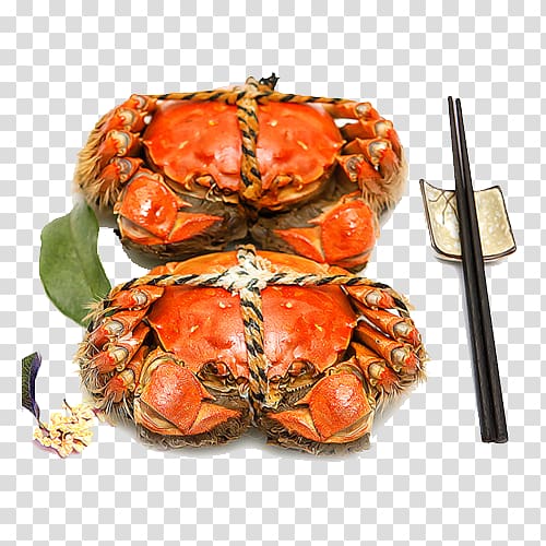 Yangcheng Lake large crab Yangcheng Lake large crab Taobao Chinese mitten crab, Crabs transparent background PNG clipart