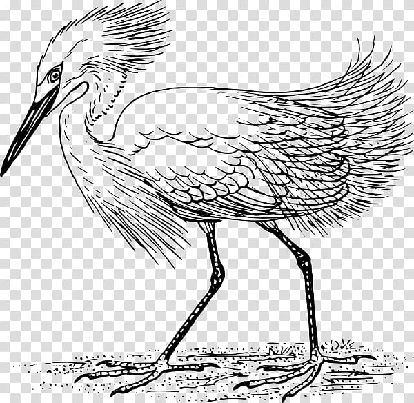 Heron Great egret Bird , Bird transparent background PNG clipart