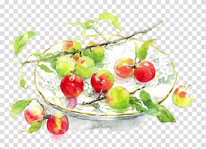 Watercolor painting Winsor & Newton Oil paint, Red apples transparent background PNG clipart