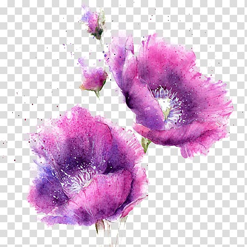 Watercolor painting, Watercolor purple flowers, pink flowers transparent background PNG clipart