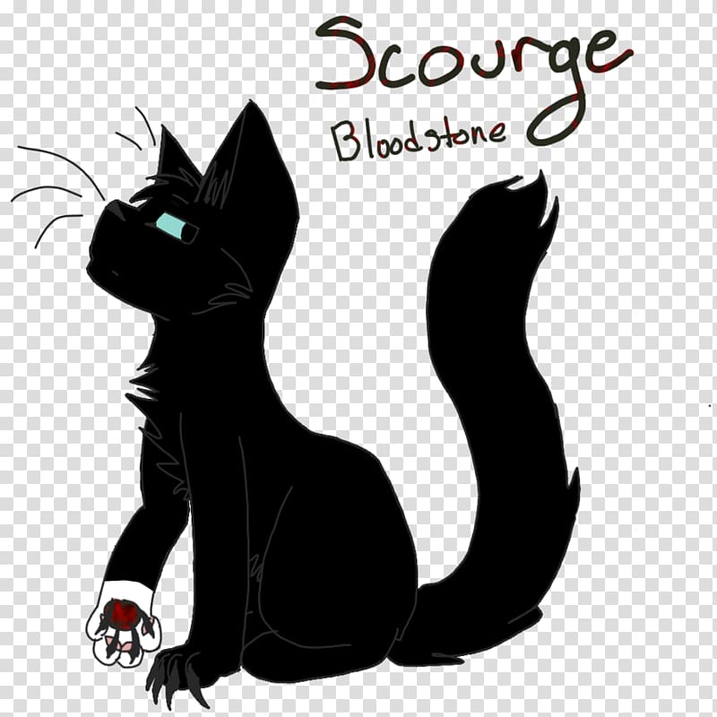 Black cat Whiskers Warriors The Rise of Scourge, Cat transparent background PNG clipart