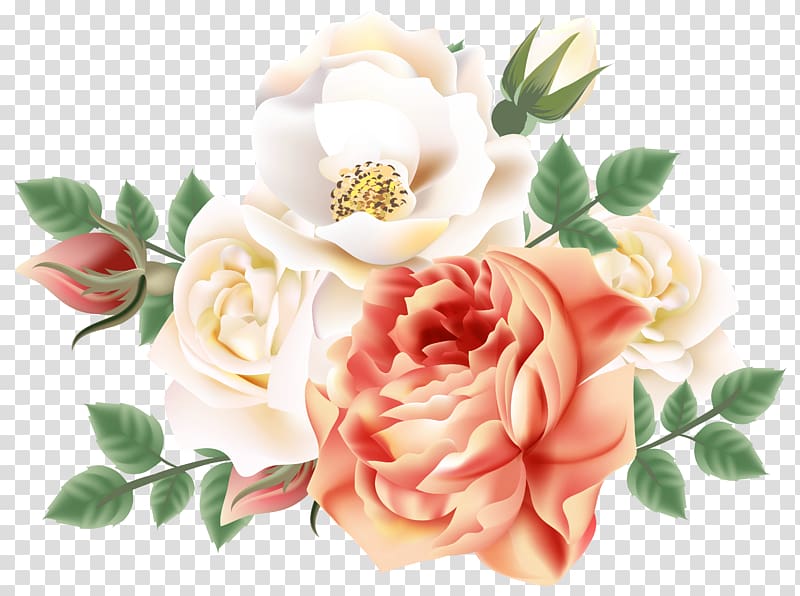 white and pink flowers illustration, , Roses Decoration transparent background PNG clipart