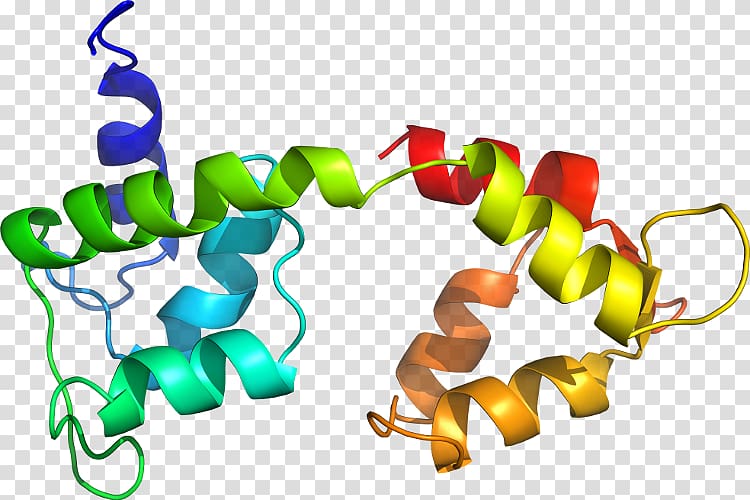 Line , design transparent background PNG clipart