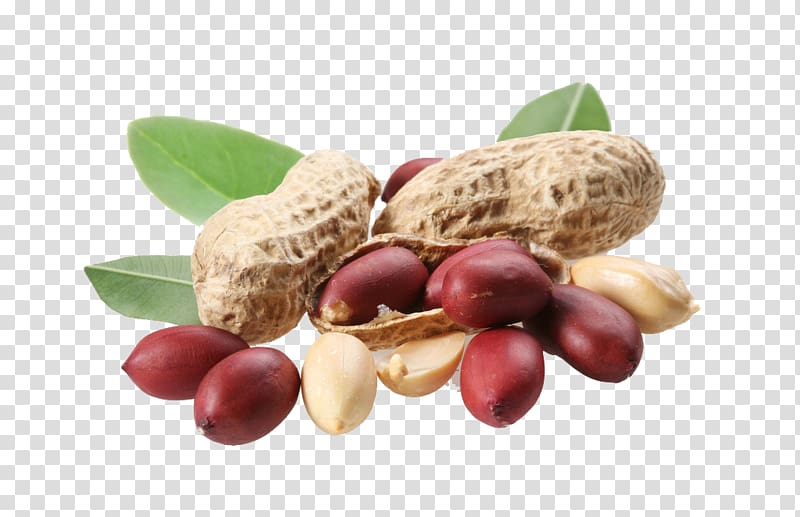 brown and red nuts art, Peanut oil Food, Peanut HD transparent background PNG clipart