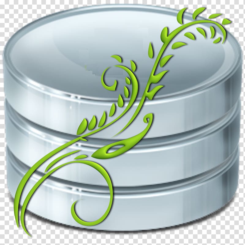 Database Computer Icons Data cleansing MySQL Information, mackerel transparent background PNG clipart