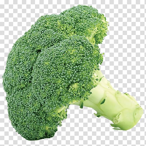 broccoli, Broccoli Cabbage Vegetable Cauliflower , broccoli transparent background PNG clipart