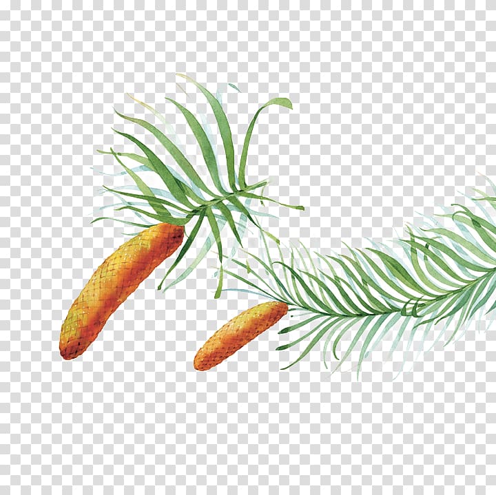 Tree Plant stem Invertebrate, human nature transparent background PNG clipart