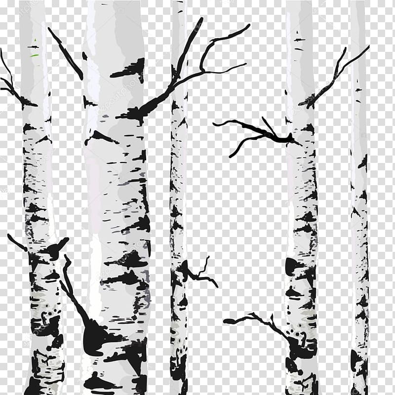 Birch Drawing, tree transparent background PNG clipart