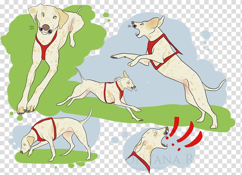 Whippet Italian Greyhound Dog breed, spotted dog transparent background PNG clipart