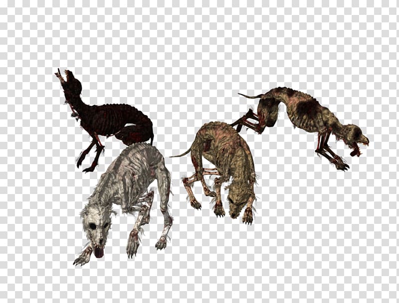 Dark Souls Dog Wolves for kids MikuMikuDance, hyena transparent background PNG clipart