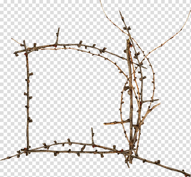 Fence Barbed wire Twig Tree Plant stem, Fence transparent background PNG clipart