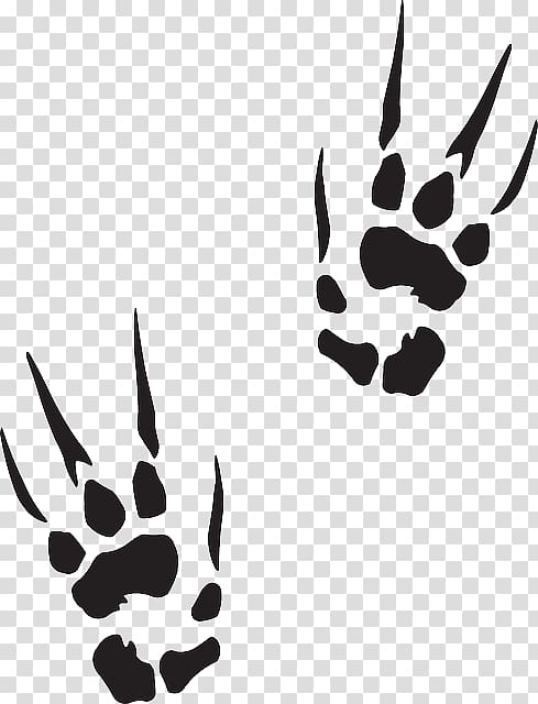 Paw Sticker Decal Printing , claw marks transparent background PNG clipart