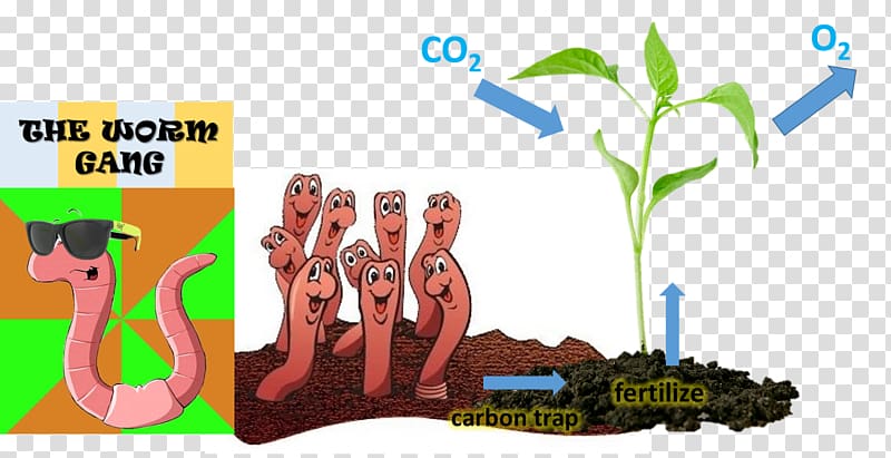 Earthworm Soil Carbon dioxide Environmental education, others transparent background PNG clipart