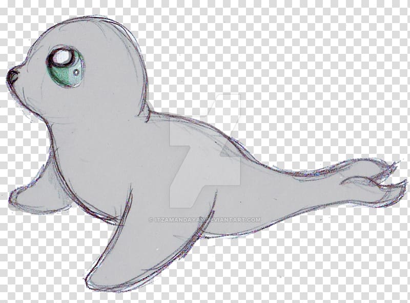 Pinniped Cartoon Drawing Cuteness Harp seal, harbor seal transparent background PNG clipart