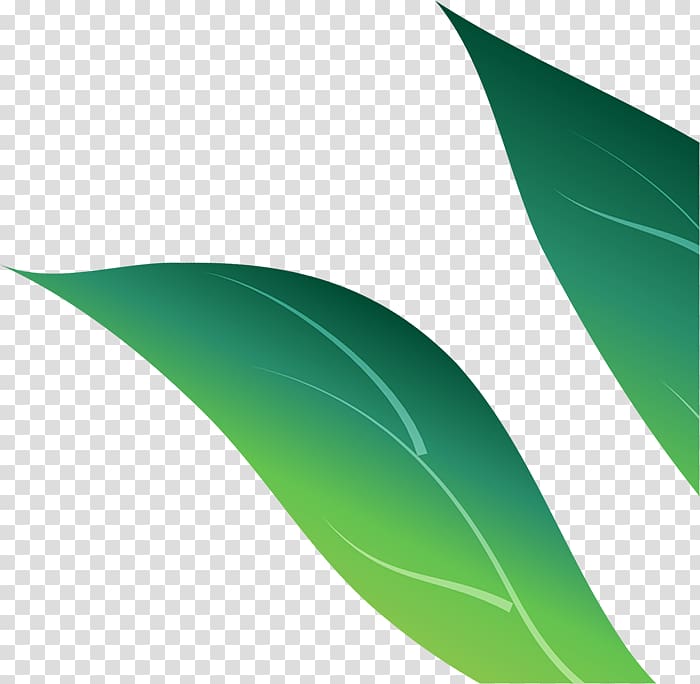 Green Leaf, colorful run transparent background PNG clipart