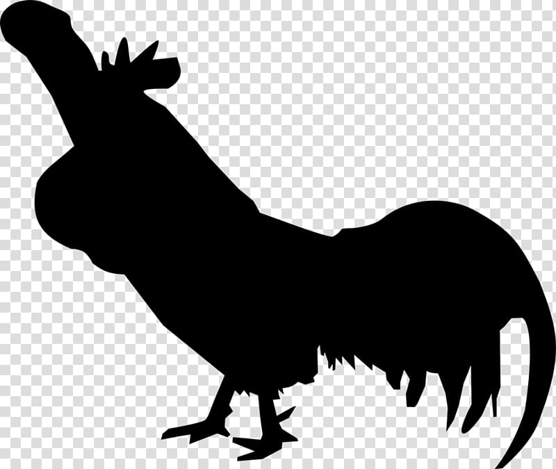 Rooster Cock a doodle doo Leghorn chicken Ayam Cemani Long-crowing chicken, others transparent background PNG clipart