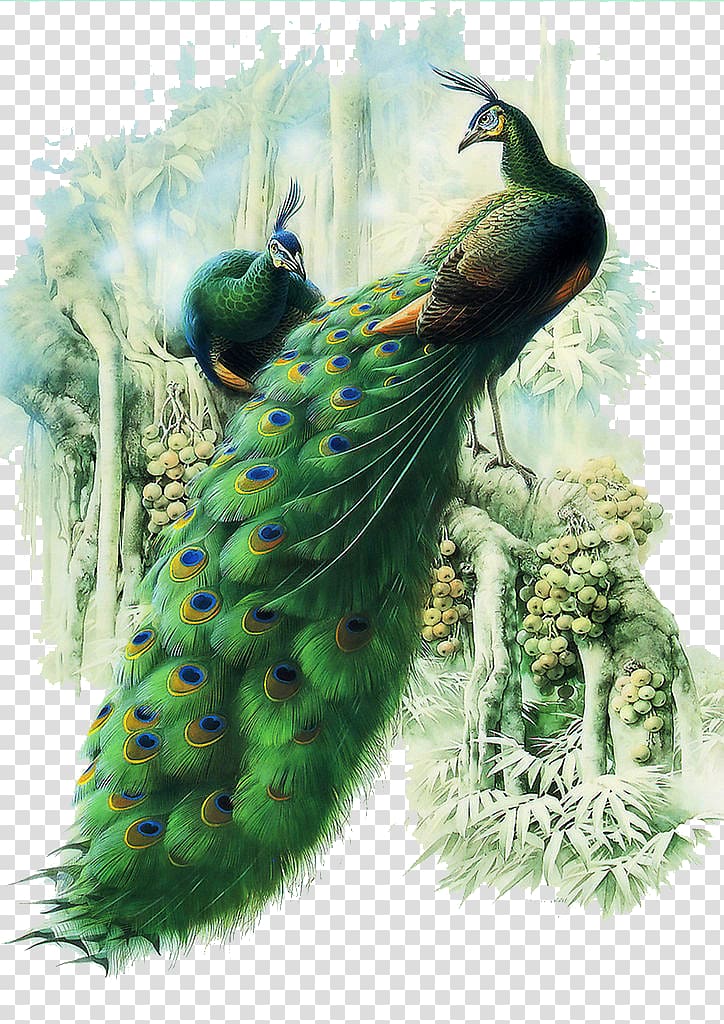 Painting Work of art Peafowl, peacock, green peacock transparent background PNG clipart