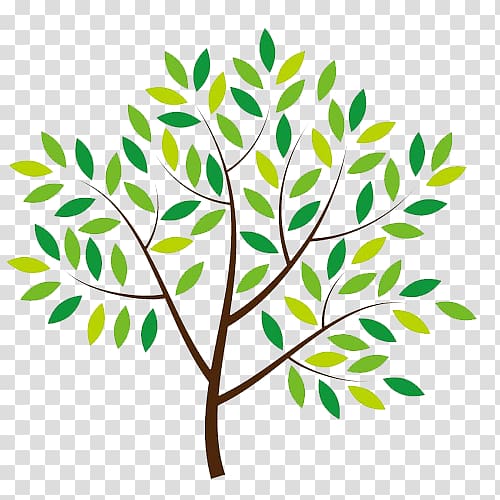 Flora Gardens Primary School National Primary School Education, tree of Life transparent background PNG clipart