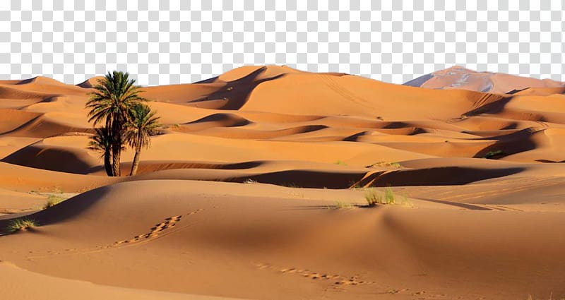 beautiful desert landscape transparent background PNG clipart