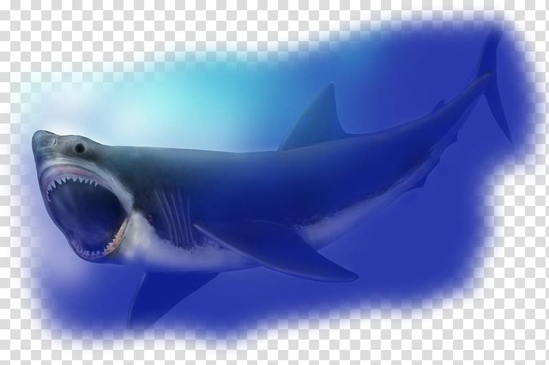 Megalodon Hungry Shark World Requiem sharks Tomb of Annihilation, shark transparent background PNG clipart