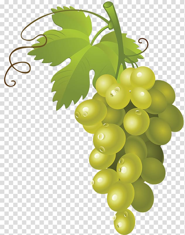 green grapes , Common Grape Vine Wine , a bunch of grapes transparent background PNG clipart