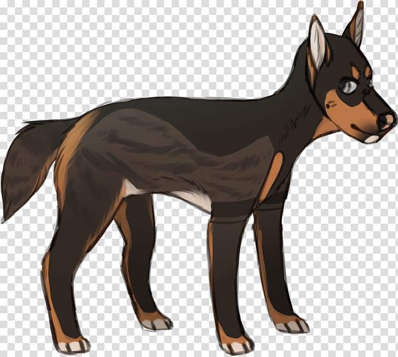 Dobermann Miniature Pinscher German Pinscher Manchester Terrier English Toy Terrier, single Heart transparent background PNG clipart