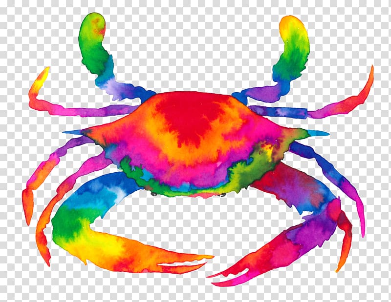 Dungeness crab , crab transparent background PNG clipart