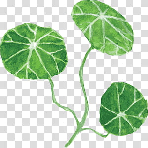 Painting Leaf, painting transparent background PNG clipart thumbnail