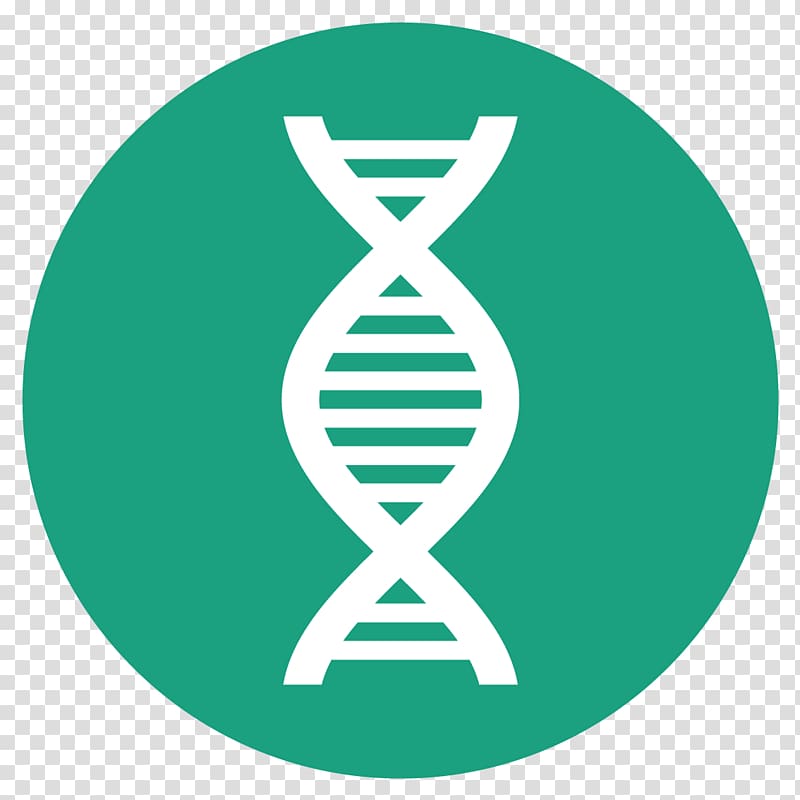 DNA polymerase Polymerase chain reaction DNA profiling, biology transparent background PNG clipart