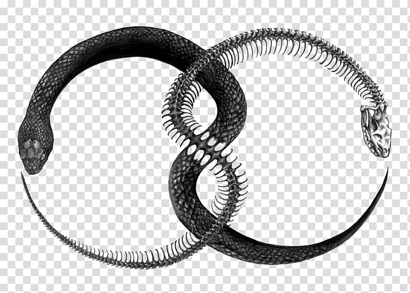 black and grey snake illustration, Ouroboros Tattoo Symbol , Ouroboros transparent background PNG clipart