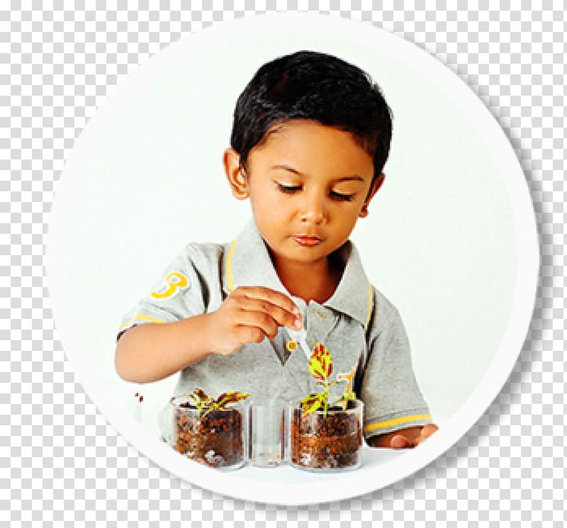 Maria Montessori India Pre-school Child Montessori education, India transparent background PNG clipart