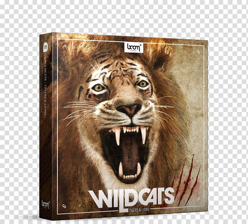 Lion Tiger Roar Sound Effect, Lions Roar transparent background PNG ...